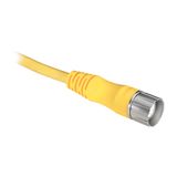 M23, Female, R-Ang, 19-P, PUR Cable, Black, Unshielded, IEC Color C