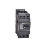 113838 Manual motor protective circuit breaker Ex9S80A 40A