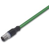 ETHERNET cable M12D plug straight 4-pole green