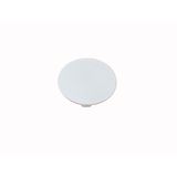 Button plate, mushroom white, blank