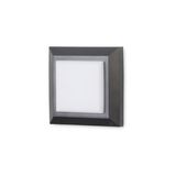 Wall fixture IP65 Grove Diffuser Square LED 2W 4000K Black 172lm