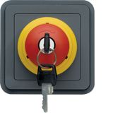 CUBYKO EMERGENCY SWITCH WITH KEY ASSEMBLY IP55 GRAY