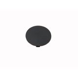 Button plate, mushroom black, blank