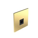 Art d'Arnould - 1 gang telephone socket UK secondary Epure - Brushed Gold