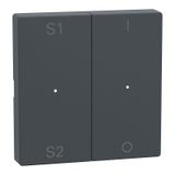 Rockers for button module 2-fold (Scene1/2, 1/0), anthracite, System M