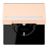 SCHUKO socket, with hinged lid, with ins LC1520BFNAKL228
