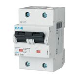 Miniature circuit breaker (MCB), 63A, 2p, C-Char