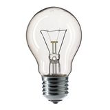 Incandescent Bulb E27 100W A55 240V CL Thorgeon