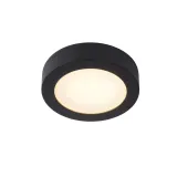 BRICE-LED Ceiling L Dimmable 11W O17.5cm IP44 Blac