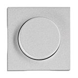 Dimmer cover, silver