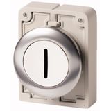 Pushbutton, RMQ-Titan, flat, maintained, White, inscribed, Front ring stainless steel