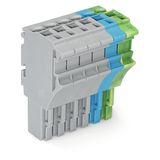 1-conductor female connector Push-in CAGE CLAMP® 4 mm² gray/blue/green