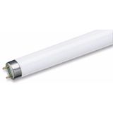 Fluorescent Tube 58W/855 150cm T8