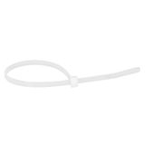 Cable tie Colring - w 3.5 mm - L 180 mm - blister 100 pcs - colourless