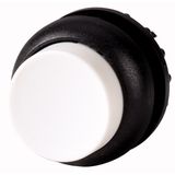 Pushbutton, RMQ-Titan, Extended, momentary, White, Blank, Bezel: black