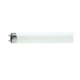 TL-D Standard Colours 36 W G13 Cool daylight Linear fluorescent tube