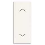 2P 10A switch button white