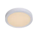 BRICE-LED Ceiling L Dimmable30W O30cm IP44