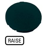 Button plate, flat black, RAISE