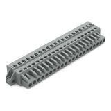 1-conductor female connector CAGE CLAMP® 2.5 mm² gray