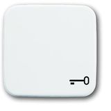 2520 TR-214 CoverPlates (partly incl. Insert) carat® Alpine white