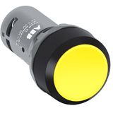 CP2-10L-10 Pushbutton