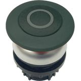 Mushroom actuator, RMQ-Titan, Mushroom, momentary, Mushroom black, black, inscribed, Bezel: titanium