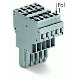 2-conductor female connector CAGE CLAMP® 4 mm² gray