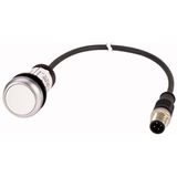 Pushbutton, Flat, momentary, 1 N/O, Cable (black) with M12A plug, 4 pole, 1 m, White, Blank, Bezel: titanium