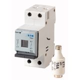 Fuse switch-disconnector, LPC, 16 A, service distribution board mounting, 1 pole, 16A fuse integrated