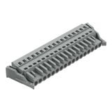 1-conductor female connector CAGE CLAMP® 2.5 mm² gray