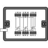 Distribution box supply cable entry 6 outputs black