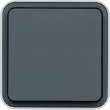 CUBYKO WALL-MOUNTED BUTTON IP55 GRAY