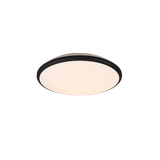 Limbus LED ceiling lamp 34 cm matt black