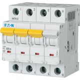 PXL-D25/3N Eaton Moeller series xPole - PXL MCB