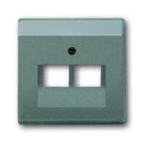 1803-02-803 CoverPlates (partly incl. Insert) Busch-axcent®, solo® grey metallic