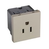 Arteor™ - American type 2P+E socket outlet 15 A 127 V - 2 modules - Champagne