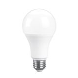 Smart LED Bulb A60 9W CCT Dimmable
