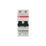 S202-C6 Miniature Circuit Breaker - 2P - C - 6 A