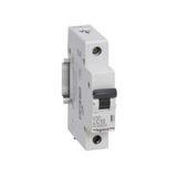 MCB RX3 4500A 1 pole 10A curve C