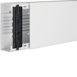 Trunking with option for device/partition PVC FB 60x150mm traffic whit