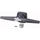 Toggle, 14mm, door installation, gray, padlock