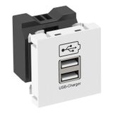 MTG-2UC2.1 RW1 USB charger with 2.1 A charging current 45x45mm