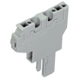 Start module for 2-conductor female connector CAGE CLAMP® 4 mm² gray