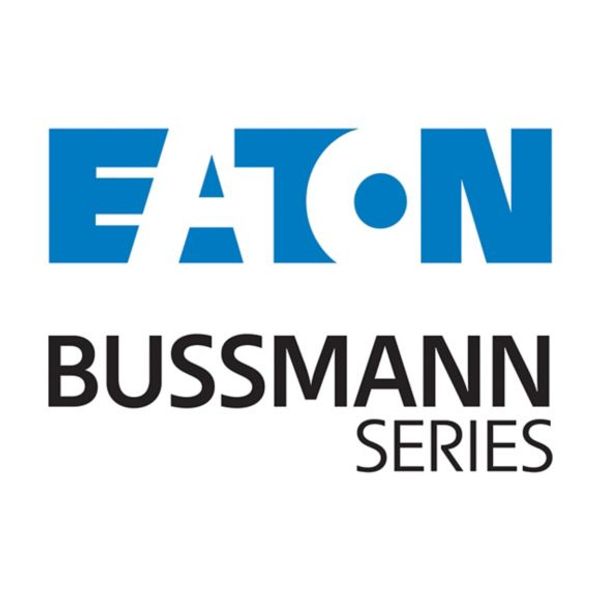170M6559 Eaton Bussmann series high speed square body fuse image 1