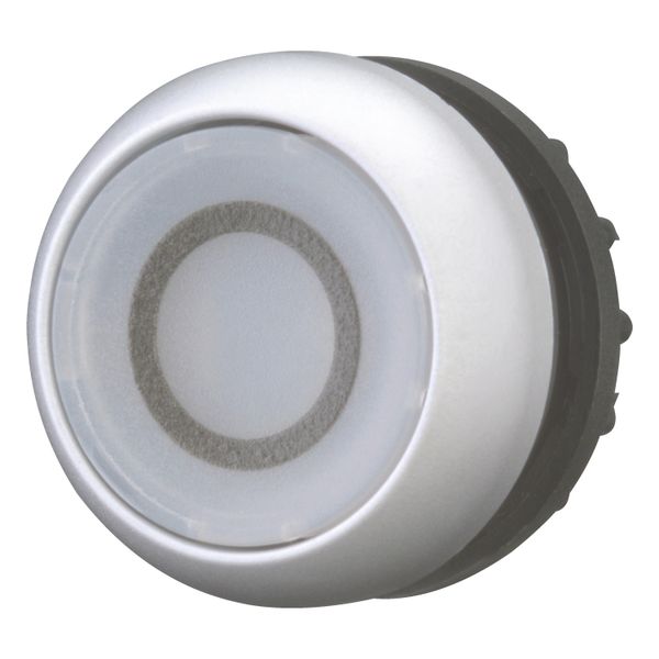 Illuminated pushbutton actuator, RMQ-Titan, Flush, momentary, White, inscribed 0, Bezel: titanium image 4