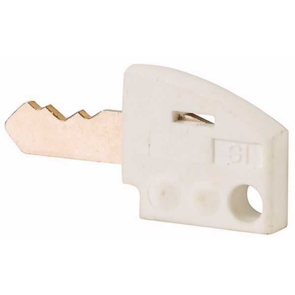 Individual key, white image 1