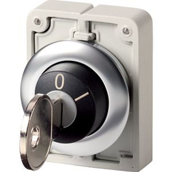 Key-operated actuator, Flat Front, maintained, 2 positions, MS6, Key withdrawable: 0, I, Bezel: stainless steel image 2