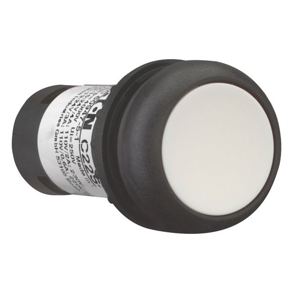 Pushbutton, Flat, momentary, 2 N/O, Screw connection, White, Blank, Bezel: black image 6