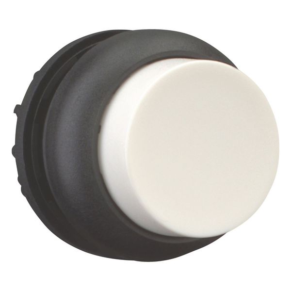 Pushbutton, RMQ-Titan, Extended, maintained, White, Blank, Bezel: black image 6